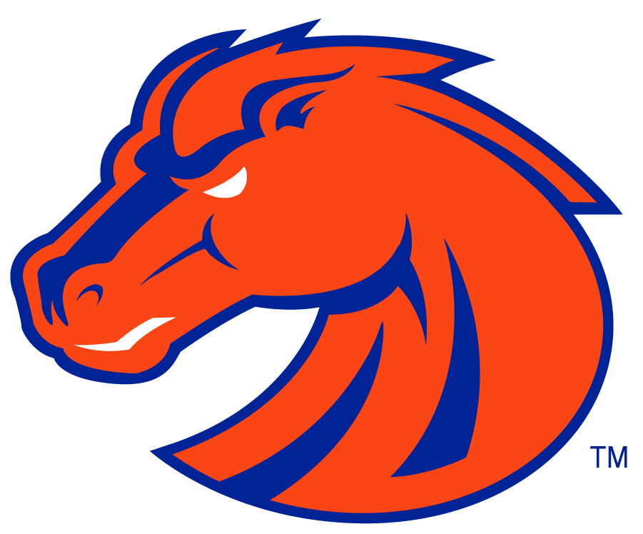 Boise State Broncos 2002-2012 Secondary Logo v4 iron on transfers for T-shirts